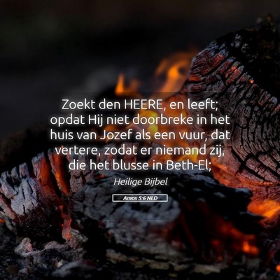 Picture 05 - Amos 5:6 NLD - Zoekt den HEERE, en leeft; opdat Hij niet - Bible Verse Picture