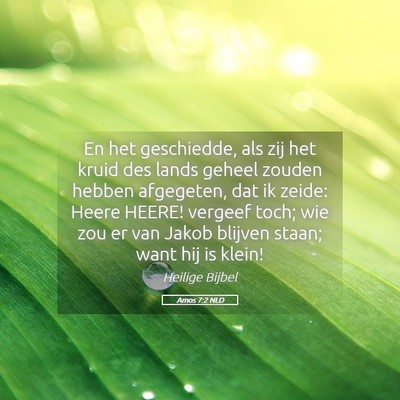Picture 05 - Amos 7:2 NLD - En het geschiedde, als zij het kruid des lands - Bible Verse Picture