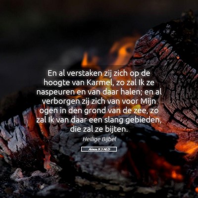 Picture 05 - Amos 9:3 NLD - En al verstaken zij zich op de hoogte van Karmel, - Bible Verse Picture