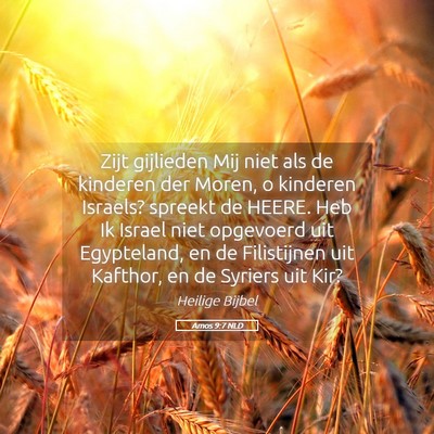 Picture 05 - Amos 9:7 NLD - Zijt gijlieden Mij niet als de kinderen der - Bible Verse Picture