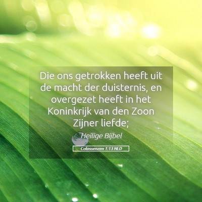 Picture 05 - Colossenzen 1:13 NLD - Die ons getrokken heeft uit de macht der - Bible Verse Picture