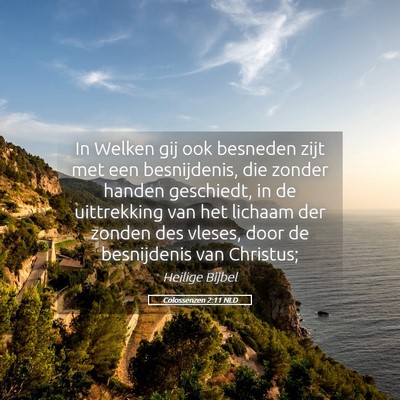 Picture 05 - Colossenzen 2:11 NLD - In Welken gij ook besneden zijt met een - Bible Verse Picture