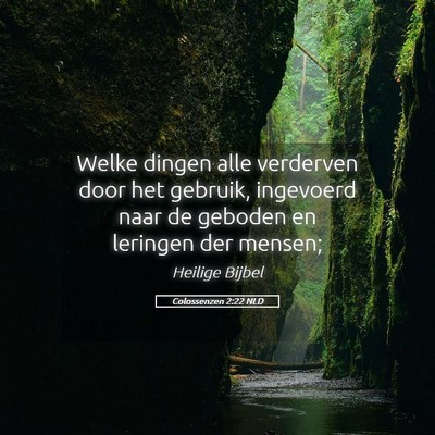 Picture 05 - Colossenzen 2:22 NLD - Welke dingen alle verderven door het gebruik, - Bible Verse Picture