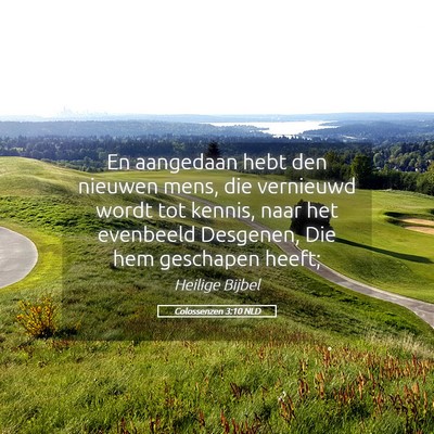 Picture 05 - Colossenzen 3:10 NLD - En aangedaan hebt den nieuwen mens, die vernieuwd - Bible Verse Picture
