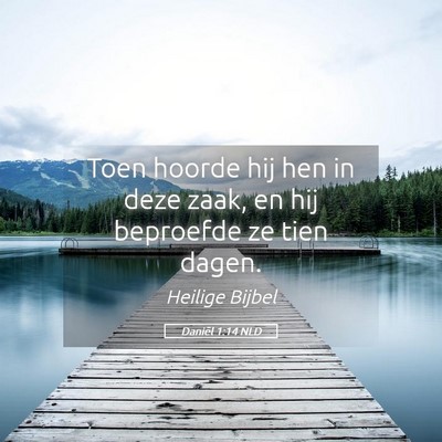Picture 05 - Daniël 1:14 NLD - Toen hoorde hij hen in deze zaak, en hij - Bible Verse Picture
