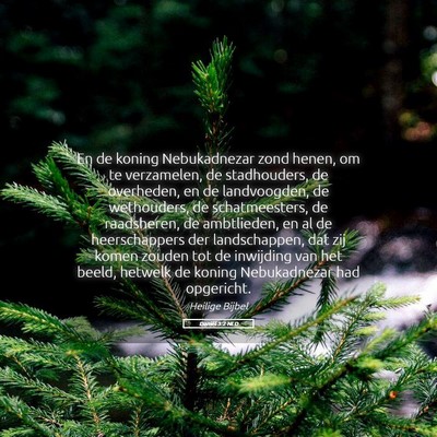 Picture 05 - Daniël 3:2 NLD - En de koning Nebukadnezar zond henen, om te - Bible Verse Picture