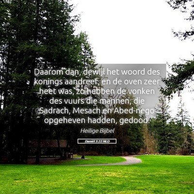 Picture 05 - Daniël 3:22 NLD - Daarom dan, dewijl het woord des konings - Bible Verse Picture