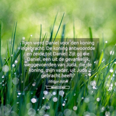 Picture 05 - Daniël 5:13 NLD - Toen werd Daniel voor den koning ingebracht. De - Bible Verse Picture