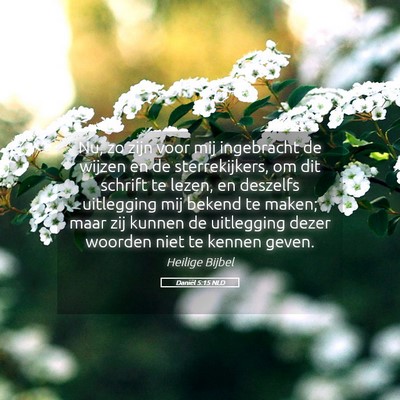 Picture 05 - Daniël 5:15 NLD - Nu, zo zijn voor mij ingebracht de wijzen en de - Bible Verse Picture