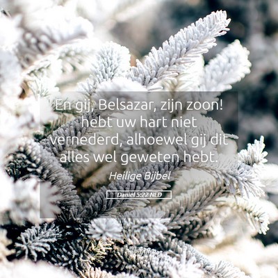 Picture 05 - Daniël 5:22 NLD - En gij, Belsazar, zijn zoon! hebt uw hart niet - Bible Verse Picture