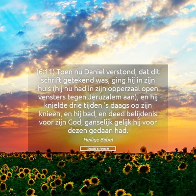 Picture 05 - Daniël 6:10 NLD - (6:11) Toen nu Daniel verstond, dat dit schrift - Bible Verse Picture