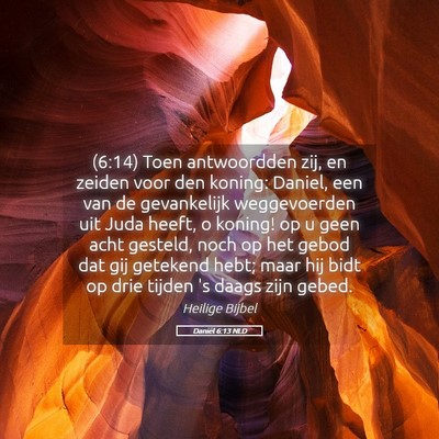 Picture 05 - Daniël 6:13 NLD - (6:14) Toen antwoordden zij, en zeiden voor den - Bible Verse Picture