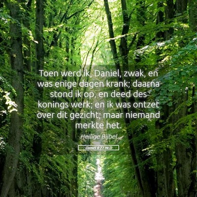 Picture 05 - Daniël 8:27 NLD - Toen werd ik, Daniel, zwak, en was enige dagen - Bible Verse Picture