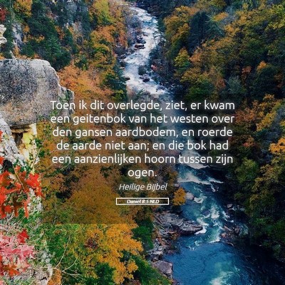 Picture 05 - Daniël 8:5 NLD - Toen ik dit overlegde, ziet, er kwam een - Bible Verse Picture