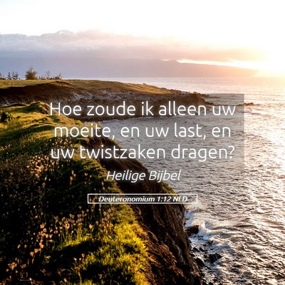 Picture 05 - Deuteronomium 1:12 NLD - Hoe zoude ik alleen uw moeite, en uw last, en uw - Bible Verse Picture