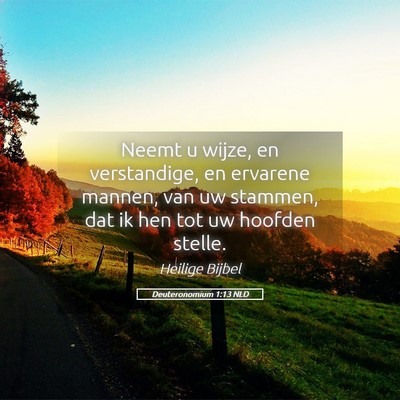 Picture 05 - Deuteronomium 1:13 NLD - Neemt u wijze, en verstandige, en ervarene - Bible Verse Picture