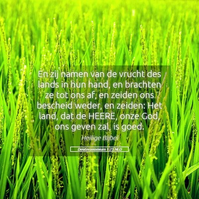 Picture 05 - Deuteronomium 1:25 NLD - En zij namen van de vrucht des lands in hun hand, - Bible Verse Picture