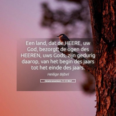 Picture 05 - Deuteronomium 11:12 NLD - Een land, dat de HEERE, uw God, bezorgt; de ogen - Bible Verse Picture