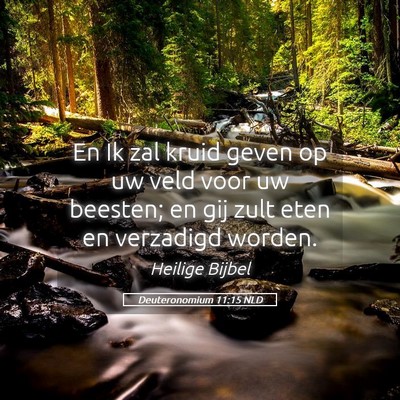 Picture 05 - Deuteronomium 11:15 NLD - En Ik zal kruid geven op uw veld voor uw beesten; - Bible Verse Picture