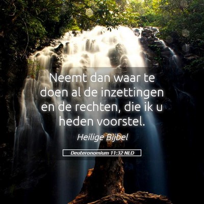 Picture 05 - Deuteronomium 11:32 NLD - Neemt dan waar te doen al de inzettingen en de - Bible Verse Picture