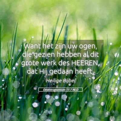 Picture 05 - Deuteronomium 11:7 NLD - Want het zijn uw ogen, die gezien hebben al dit - Bible Verse Picture