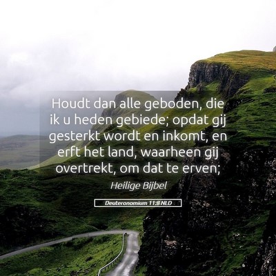 Picture 05 - Deuteronomium 11:8 NLD - Houdt dan alle geboden, die ik u heden gebiede; - Bible Verse Picture