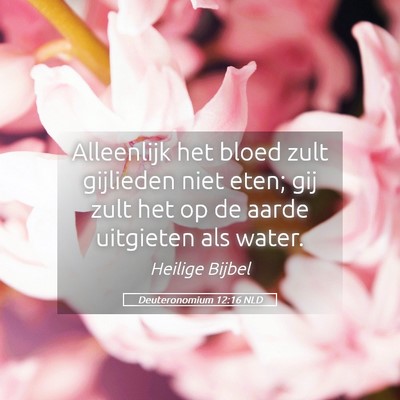 Picture 05 - Deuteronomium 12:16 NLD - Alleenlijk het bloed zult gijlieden niet eten; - Bible Verse Picture
