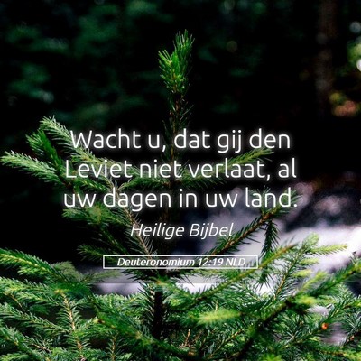 Picture 05 - Deuteronomium 12:19 NLD - Wacht u, dat gij den Leviet niet verlaat, al uw - Bible Verse Picture