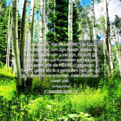Picture 05 - Deuteronomium 12:21 NLD - Zo de plaats, die de HEERE, uw God, verkiezen - Bible Verse Picture