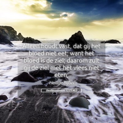 Picture 05 - Deuteronomium 12:23 NLD - Alleen houdt vast, dat gij het bloed niet eet; - Bible Verse Picture