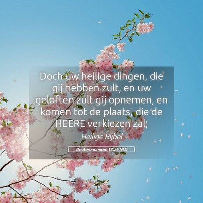 Picture 05 - Deuteronomium 12:26 NLD - Doch uw heilige dingen, die gij hebben zult, en - Bible Verse Picture