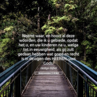 Picture 05 - Deuteronomium 12:28 NLD - Neemt waar, en hoort al deze woorden, die ik u - Bible Verse Picture