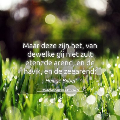 Picture 05 - Deuteronomium 14:12 NLD - Maar deze zijn het, van dewelke gij niet zult - Bible Verse Picture