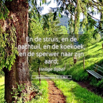 Picture 05 - Deuteronomium 14:15 NLD - En de struis, en de nachtuil, en de koekoek, en - Bible Verse Picture