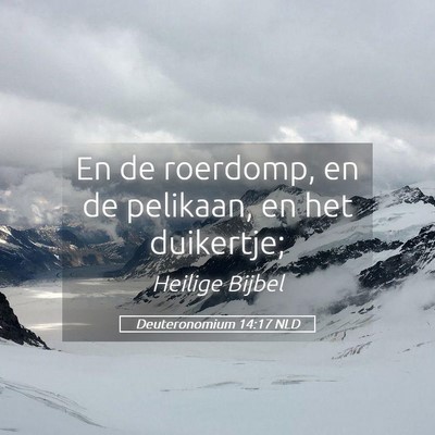 Picture 05 - Deuteronomium 14:17 NLD - En de roerdomp, en de pelikaan, en het - Bible Verse Picture