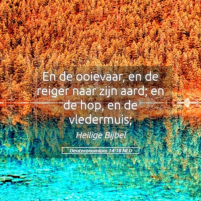 Picture 05 - Deuteronomium 14:18 NLD - En de ooievaar, en de reiger naar zijn aard; en - Bible Verse Picture