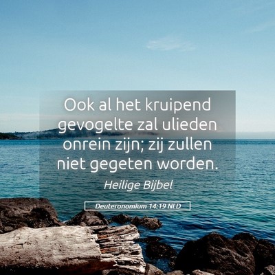 Picture 05 - Deuteronomium 14:19 NLD - Ook al het kruipend gevogelte zal ulieden onrein - Bible Verse Picture
