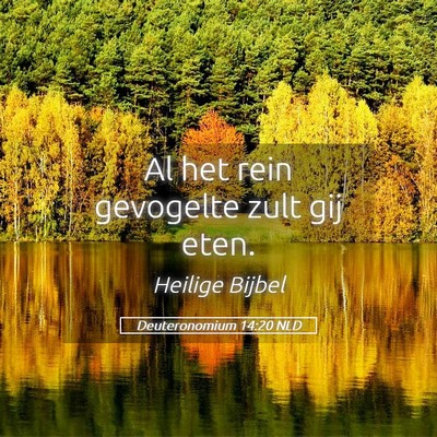 Picture 05 - Deuteronomium 14:20 NLD - Al het rein gevogelte zult gij - Bible Verse Picture