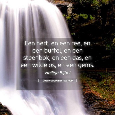 Picture 05 - Deuteronomium 14:5 NLD - Een hert, en een ree, en een buffel, en een - Bible Verse Picture