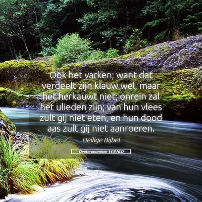 Picture 05 - Deuteronomium 14:8 NLD - Ook het varken; want dat verdeelt zijn klauw wel, - Bible Verse Picture