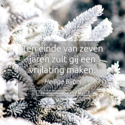 Picture 05 - Deuteronomium 15:1 NLD - Ten einde van zeven jaren zult gij een vrijlating - Bible Verse Picture