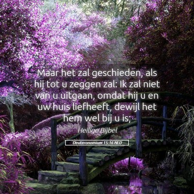 Picture 05 - Deuteronomium 15:16 NLD - Maar het zal geschieden, als hij tot u zeggen - Bible Verse Picture