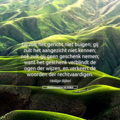 Picture 05 - Deuteronomium 16:19 NLD - Gij zult het gericht niet buigen; gij zult het - Bible Verse Picture