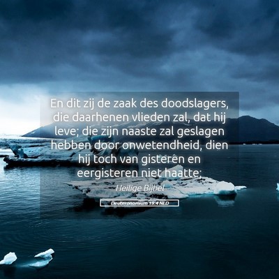 Picture 05 - Deuteronomium 19:4 NLD - En dit zij de zaak des doodslagers, die daarhenen - Bible Verse Picture