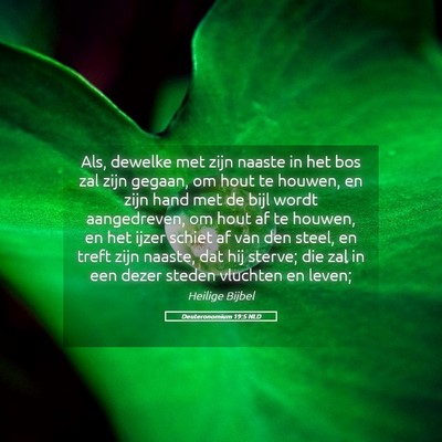 Picture 05 - Deuteronomium 19:5 NLD - Als, dewelke met zijn naaste in het bos zal zijn - Bible Verse Picture