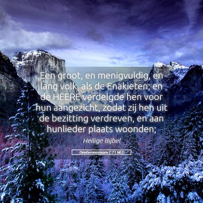 Picture 05 - Deuteronomium 2:21 NLD - Een groot, en menigvuldig, en lang volk, als de - Bible Verse Picture