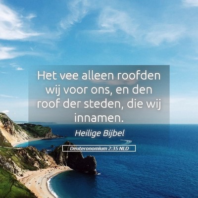Picture 05 - Deuteronomium 2:35 NLD - Het vee alleen roofden wij voor ons, en den roof - Bible Verse Picture