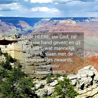 Picture 05 - Deuteronomium 20:13 NLD - En de HEERE, uw God, zal haar in uw hand geven; - Bible Verse Picture