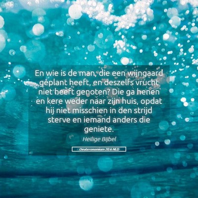 Picture 05 - Deuteronomium 20:6 NLD - En wie is de man, die een wijngaard geplant - Bible Verse Picture