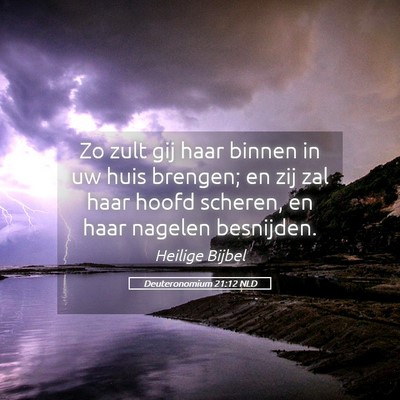 Picture 05 - Deuteronomium 21:12 NLD - Zo zult gij haar binnen in uw huis brengen; en - Bible Verse Picture